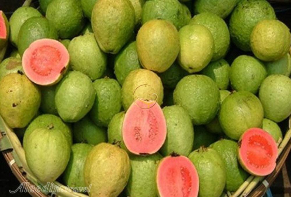 باغ میوه های گرمسیری چابهار | علاءالدین تراول