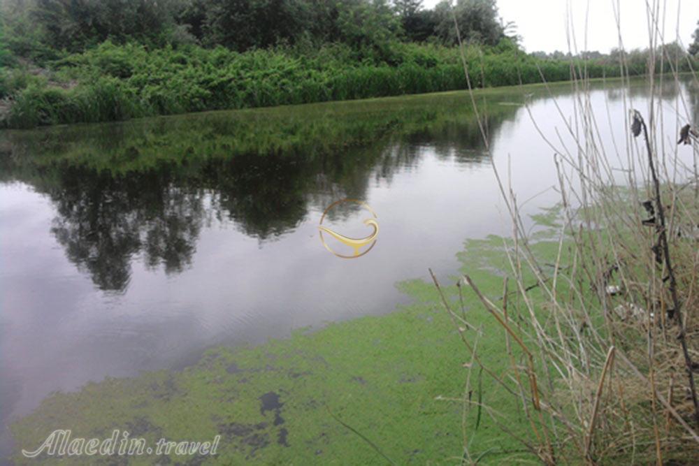 رودخانه چمخاله | علاءالدین تراول