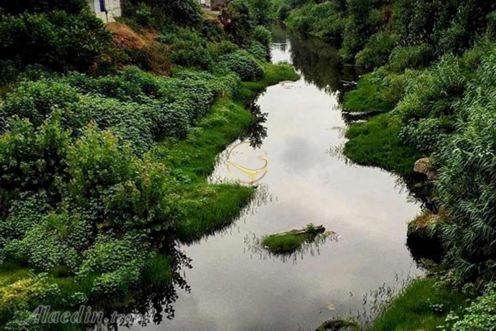 رودخانه چمخاله | علاءالدین تراول