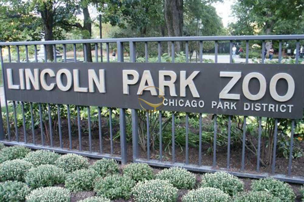 باغ وحش پارک لینکولن شیکاگو - آمریکا | علاءالدین تراول