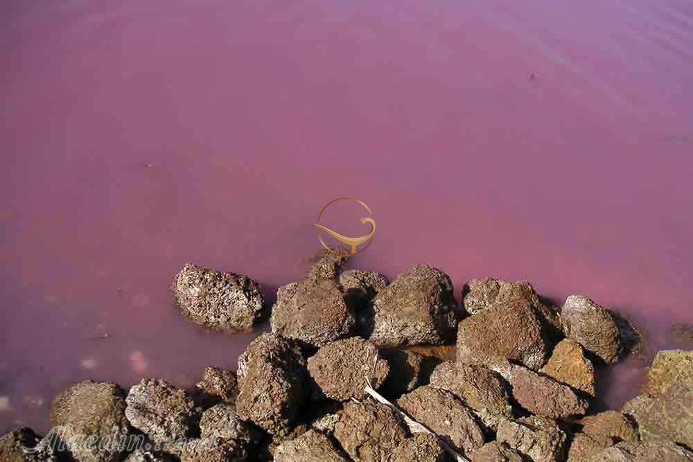 رودخانه ربتا در داکار - سنگال | علاءالدین تراول