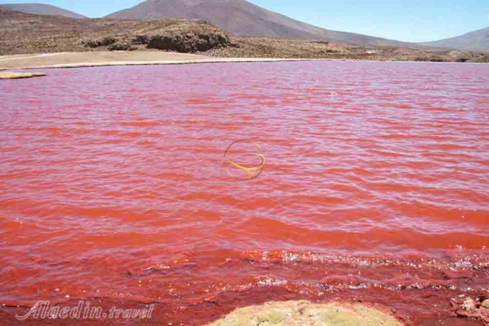 رودخانه ربتا در داکار - سنگال | علاءالدین تراول