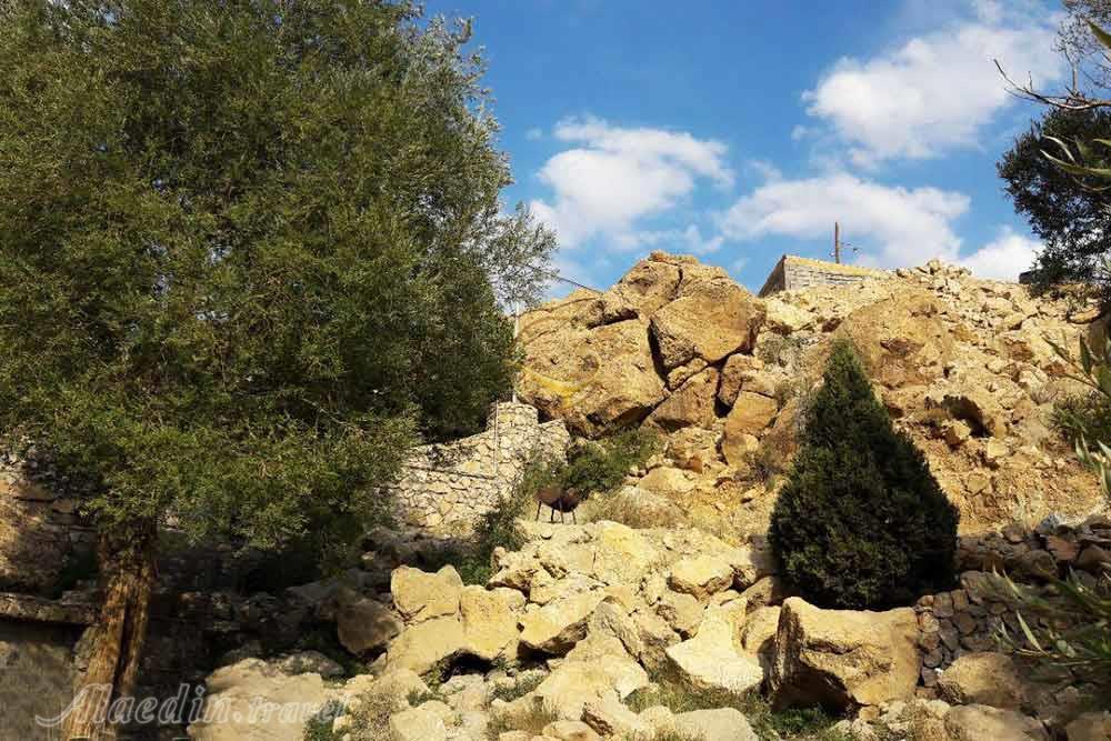 منطقه چشمه انگورستانی دامغان | علاءالدین تراول