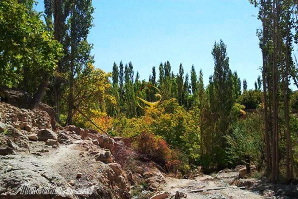 منطقه چشمه انگورستانی دامغان | علاءالدین تراول