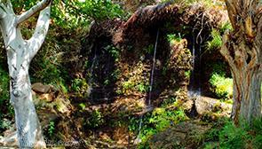 منطقه چشمه انگورستانی دامغان | علاءالدین تراول