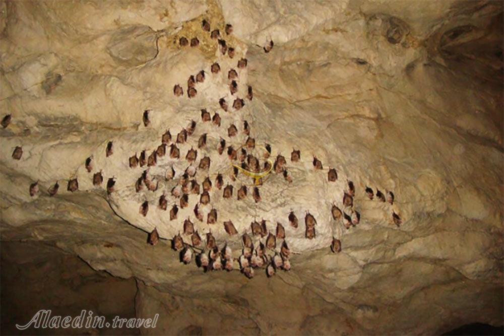 غار شیر بند دامغان | علاءالدین تراول