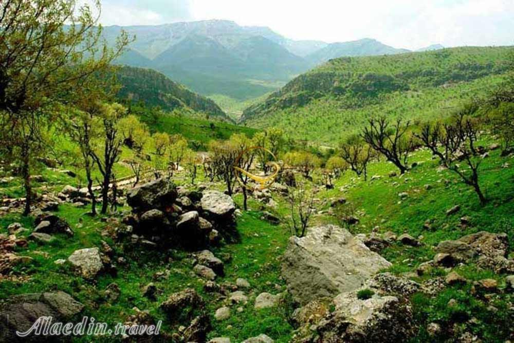 منطقه حفاظت شده دنا | علاءالدین تراول