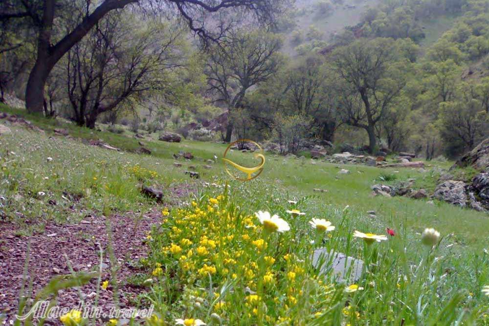 منطقه حفاظت شده دنا | علاءالدین تراول