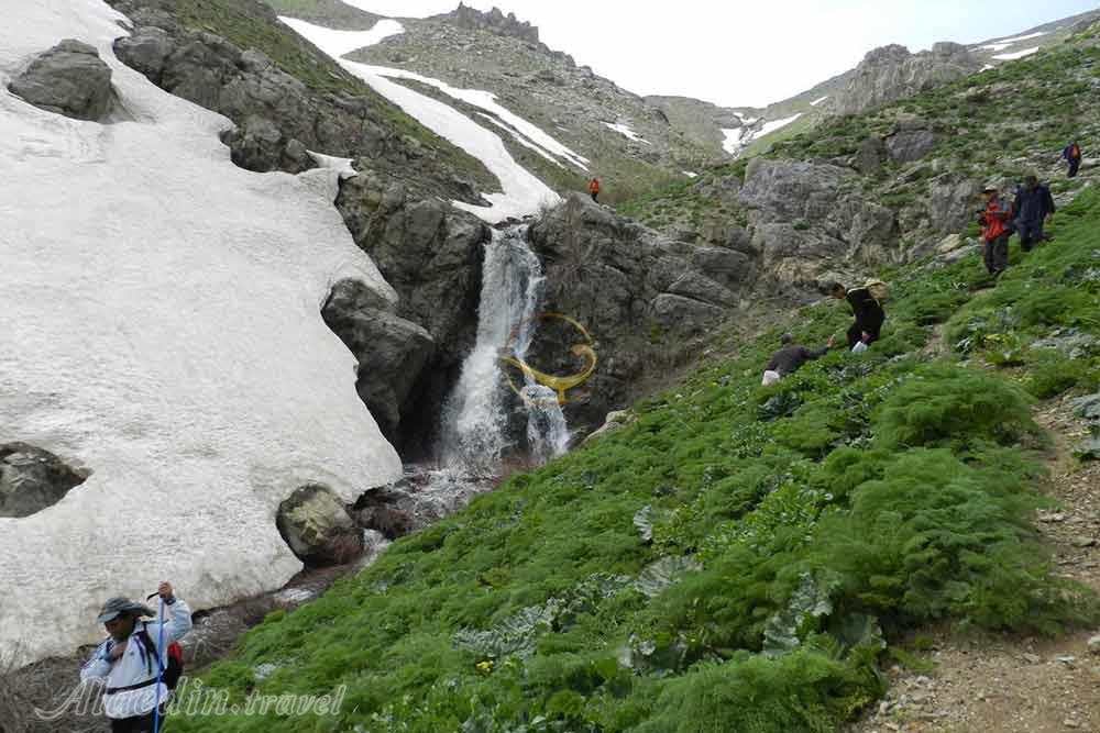 کوه چهل چشمه دیواندره | علاءالدین تراول