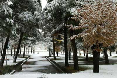 پارک آزادگان دورود