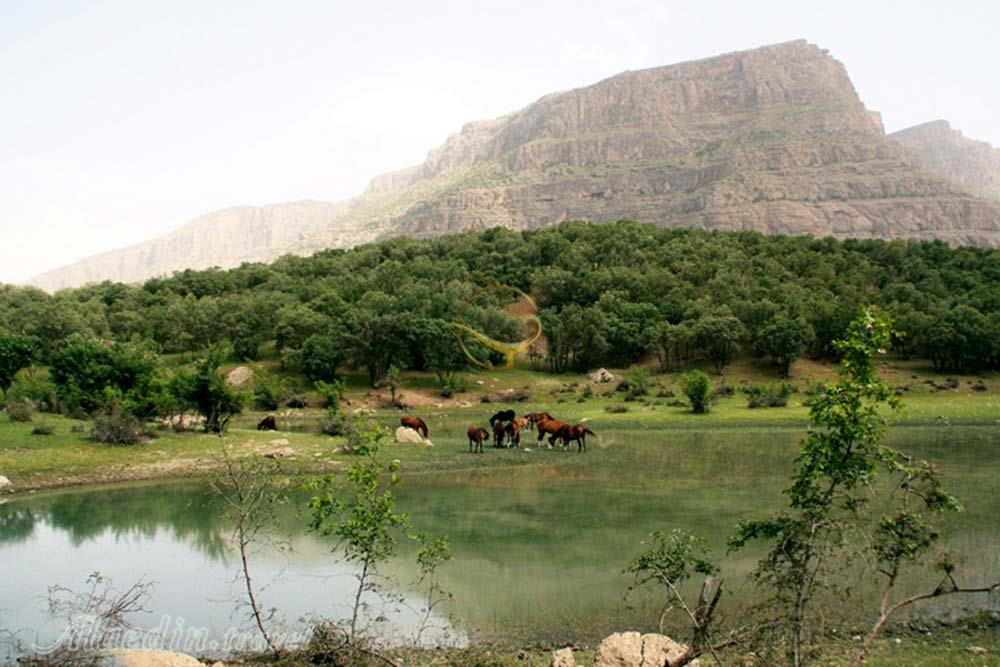 تالاب ازگن دورود | علاءالدین تراول