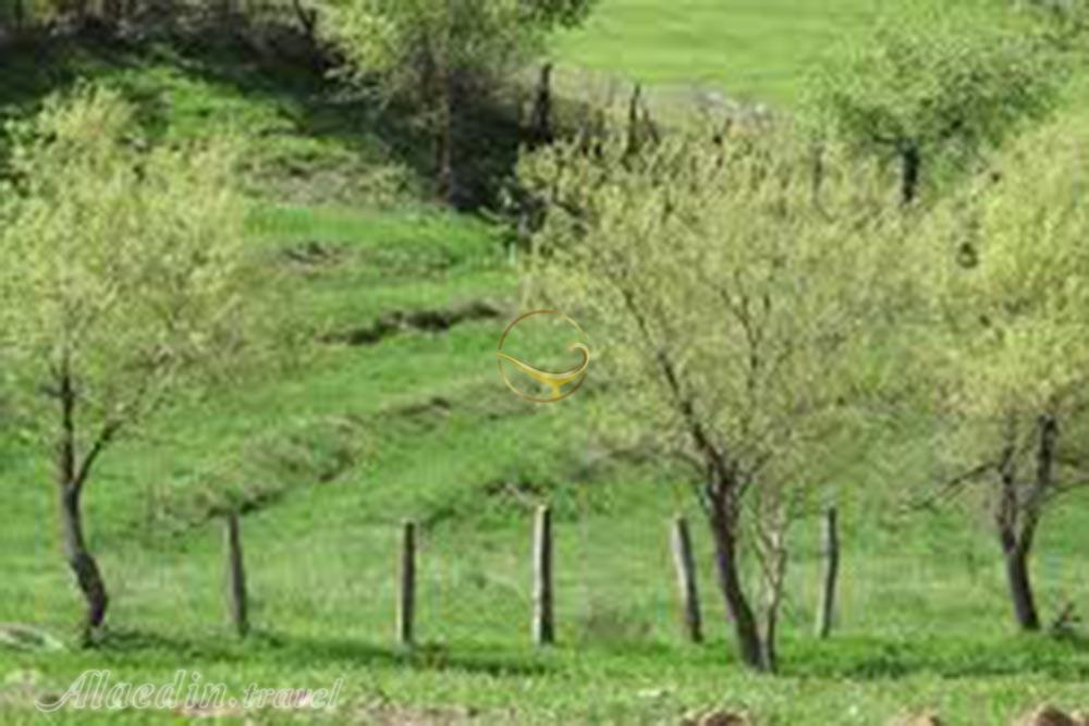 روستای چمسنگر درود| علاءالدین تراول