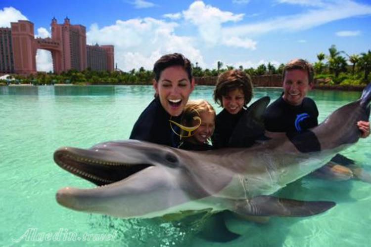 دلفین بی در دبی - امارات متحده عربی