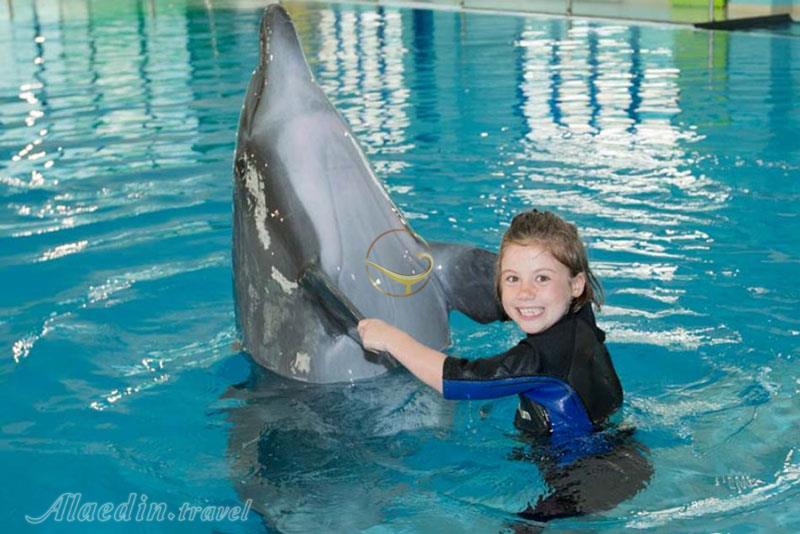 دلفین بی در دبی - امارات متحده عربی