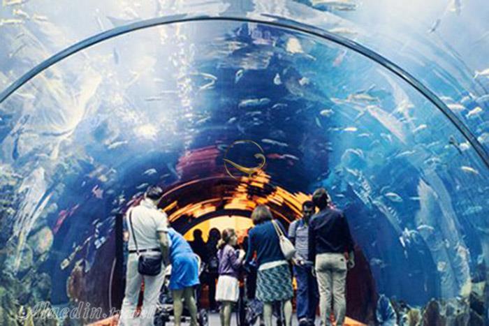 آکواریوم دبی - امارات متحده عربی