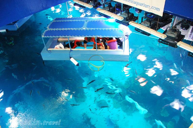 آکواریوم دبی - امارات متحده عربی