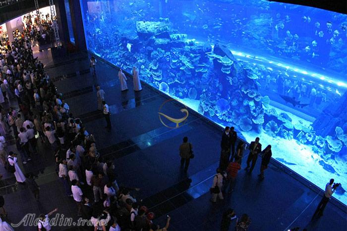 آکواریوم دبی - امارات متحده عربی