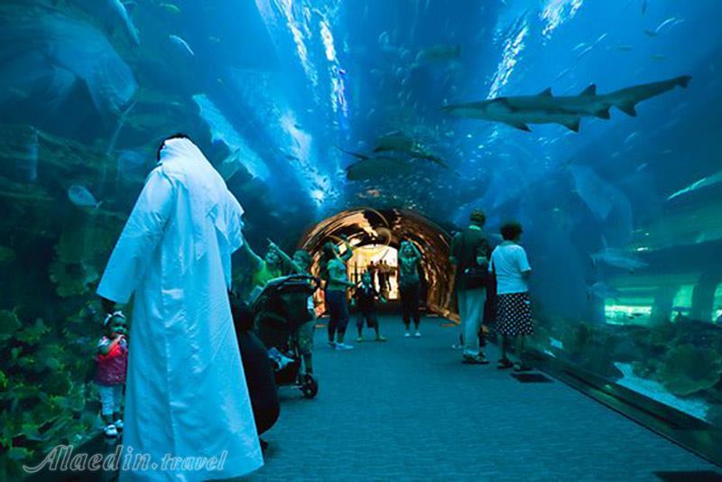 آکواریوم دبی - امارات متحده عربی