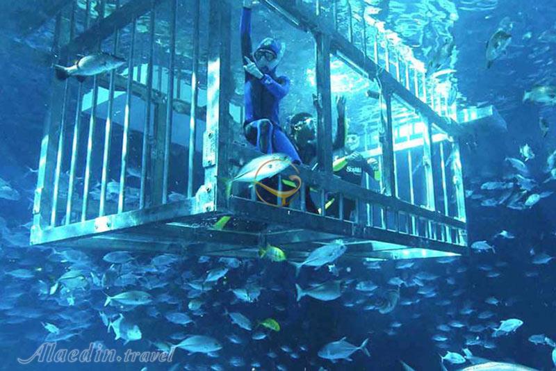 آکواریوم دبی - امارات متحده عربی