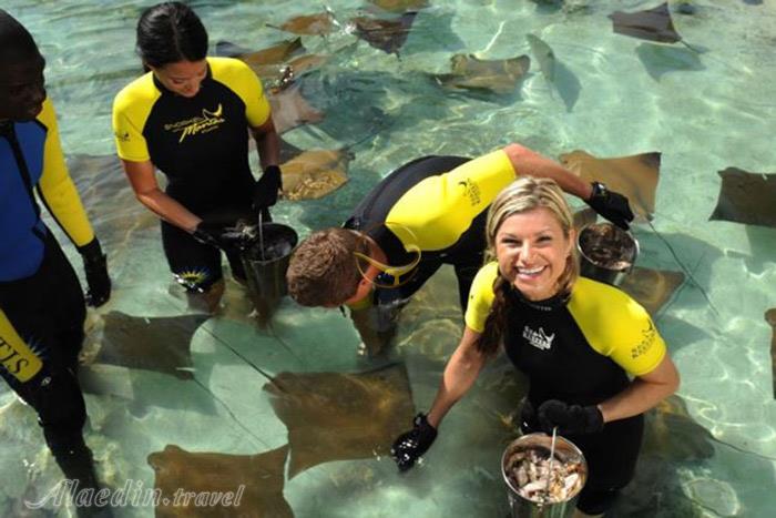 پارک آبی آتلانتیس در دبی - امارات متحده عربی