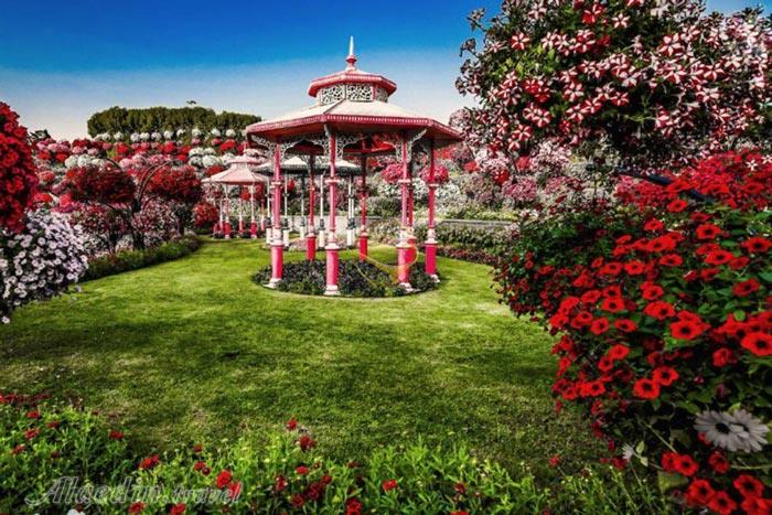 پارک معجزه در دبی - امارات متحده عربی