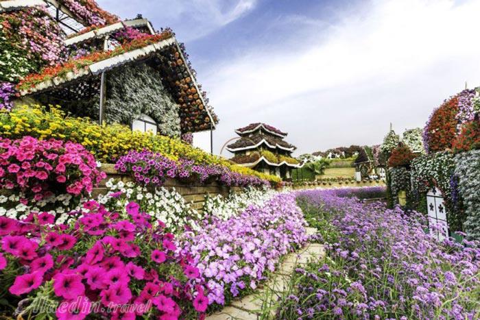 پارک معجزه در دبی - امارات متحده عربی