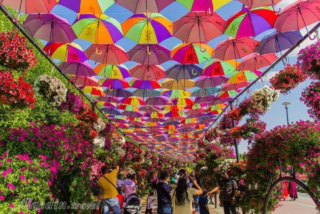 پارک معجزه در دبی - امارات متحده عربی