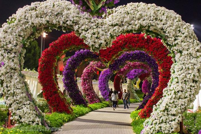 پارک معجزه در دبی - امارات متحده عربی