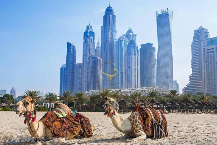 ساحل جمیرا در دبی - امارات متحده عربی