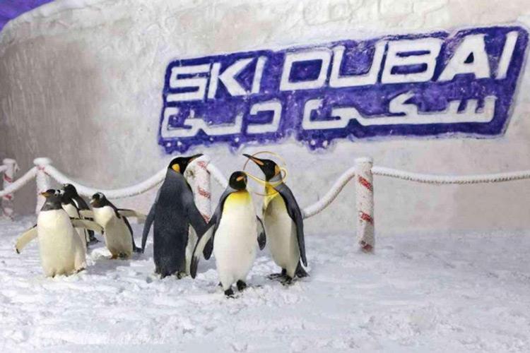 پیست اسکی دبی - امارات متحده عربی