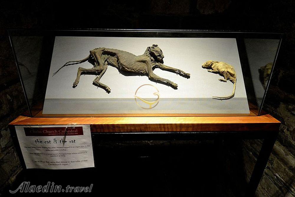 کلیسای جامع مسیح در دوبلین - ایرلند | علاءالدین تراول