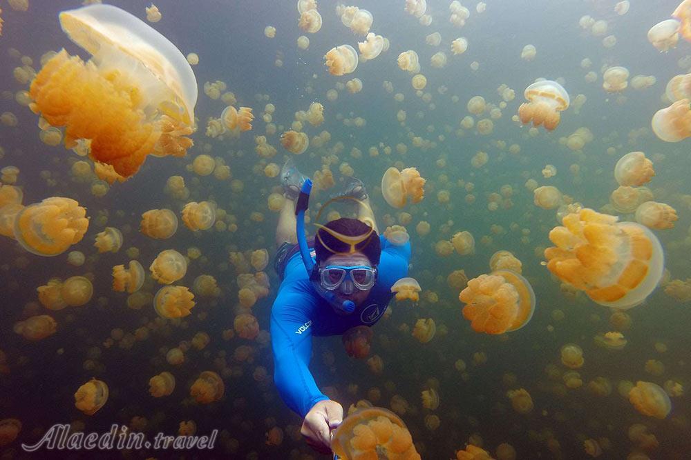 دریاچه عروس دریایی در ایل مالک - پالائو | علاءالدین تراول