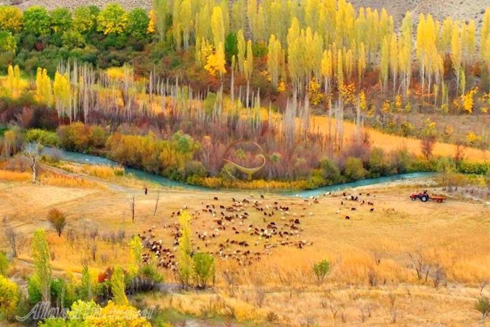 روستای هرانده در فیروزکوه | علاءالدین تراول