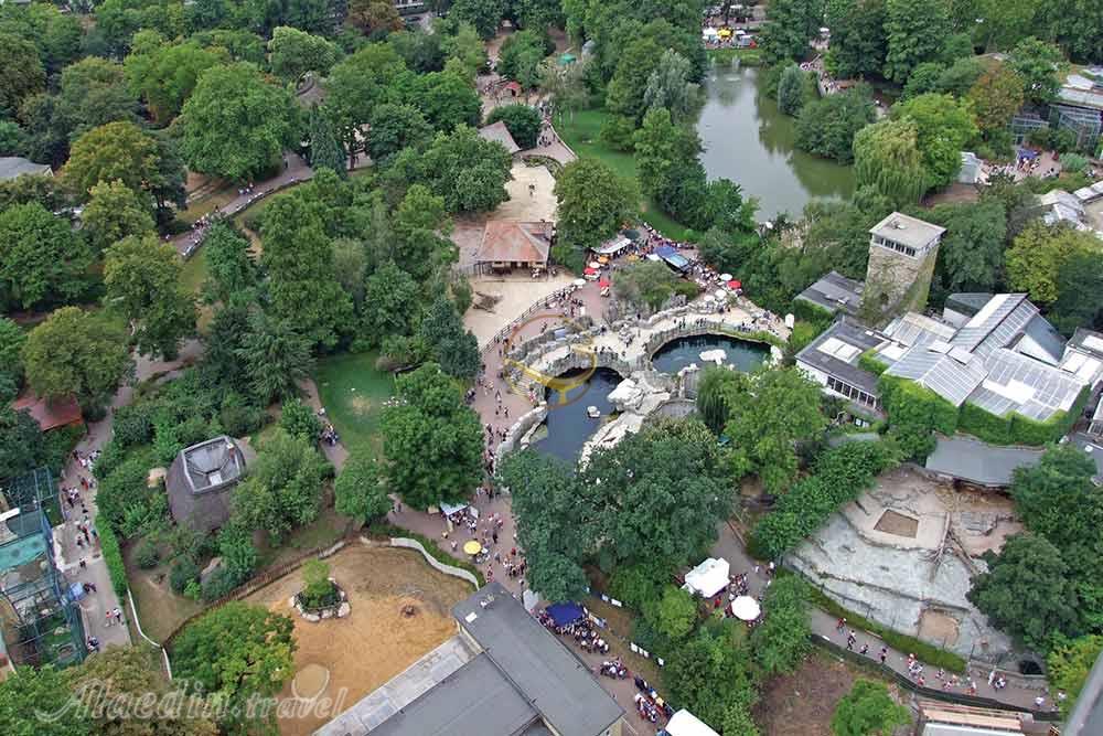 باغ وحش فرانکفورت - آلمان | علاءالدین تراول