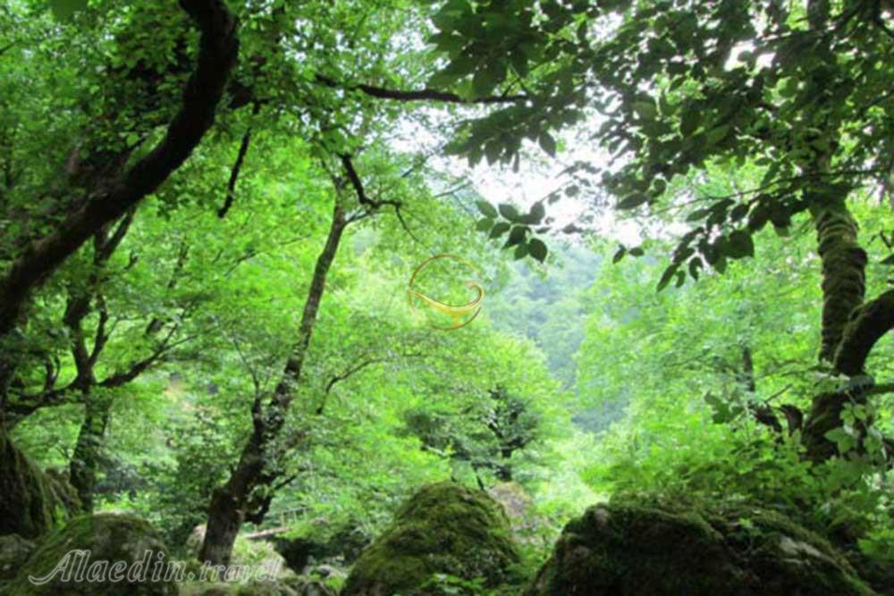 روستای فوشه فومن | علاءالدین تراول