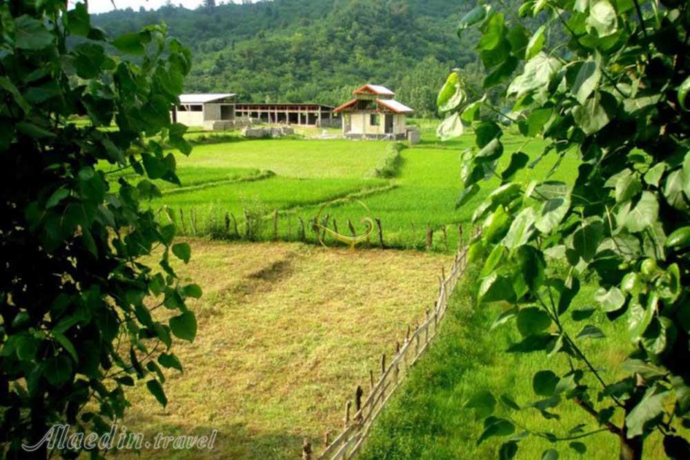 ییلاق زودل سر فومن | علاءالدین تراول