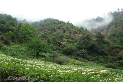 ییلاق زودل سر فومن