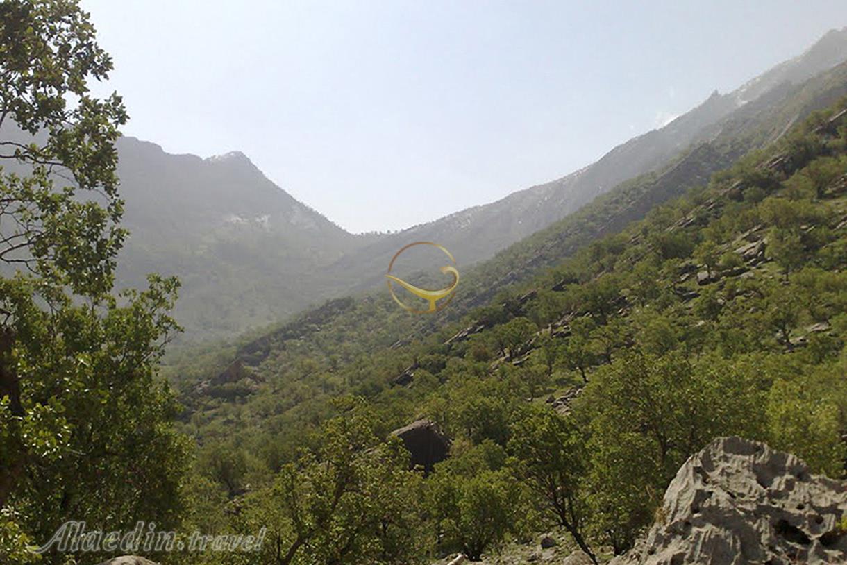 منطقه حفاظت شده کوه خامین گچساران | علاءالدین تراول