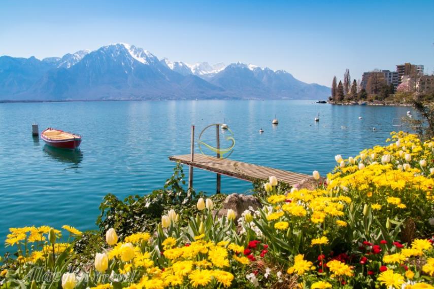 دریاچه ژنو |علاالدین تراول