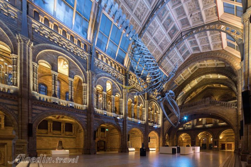 موزه تاریخ طبیعی ژنو | علاالدین تراول