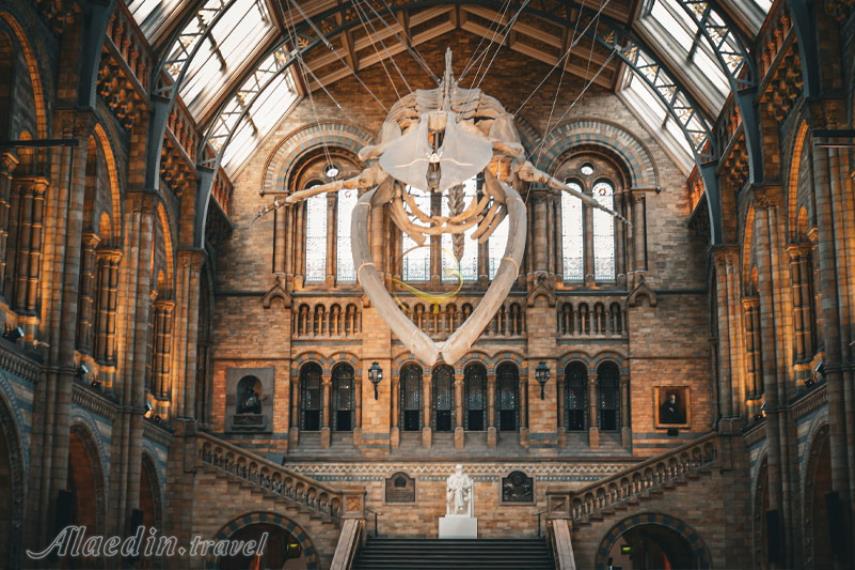 موزه تاریخ طبیعی ژنو | علاالدین تراول