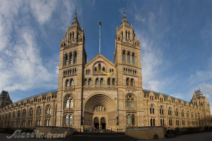 موزه تاریخ طبیعی ژنو | علاالدین تراول