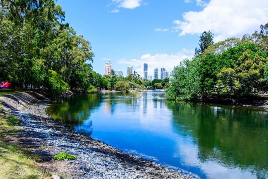 براد بیچ گلد کوست |‌ علاالدین تراول