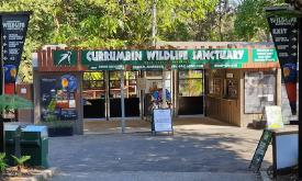 پناهگاه حیات وحش کورومبین در گلد کوست - استرالیا