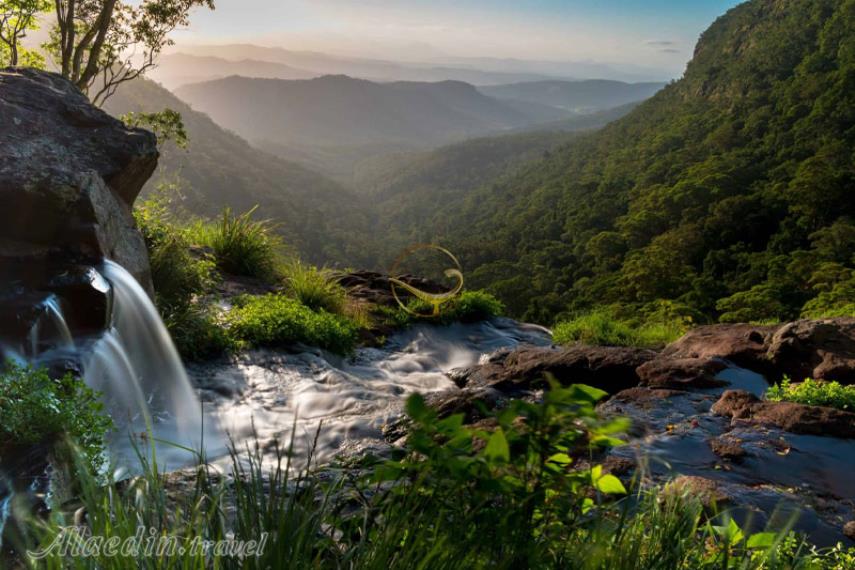 هینترلند گلد کوست | علاالدین تراول