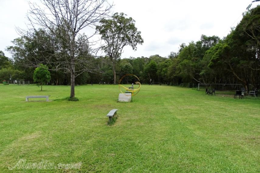 هینترلند گلد کوست | علاالدین تراول