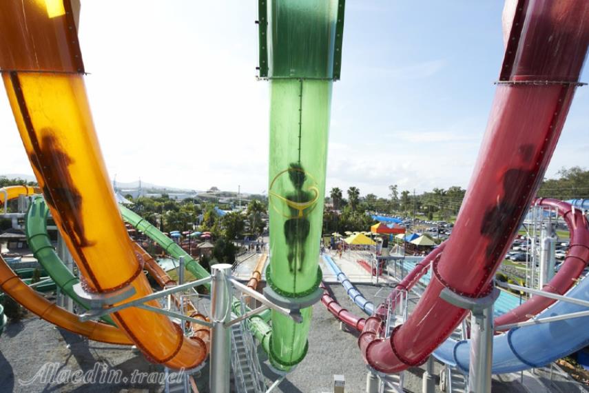 واتر ورلد گلد کوست | علاالدین تراول