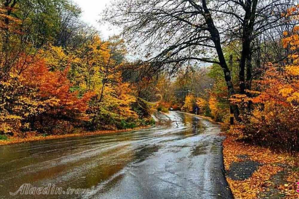 پارک جنگلی النگ دره در گرگان | علاءالدین تراول