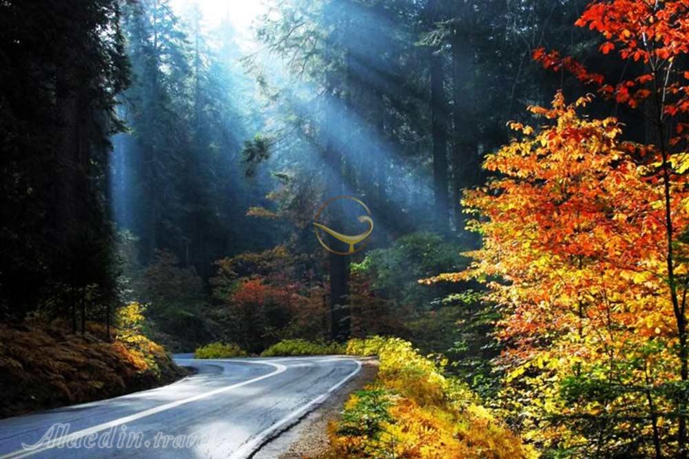 پارک جنگلی النگ دره در گرگان | علاءالدین تراول