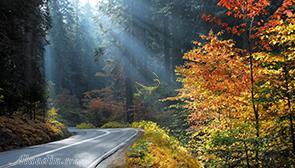 پارک جنگلی النگدره در گرگان